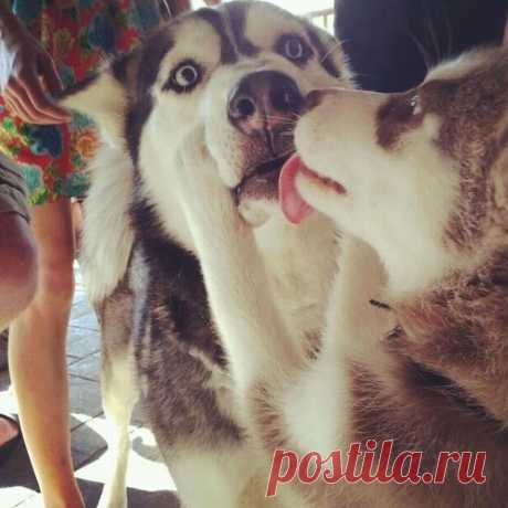 27 поцелуев, которые доказывают, что любить умеет каждый