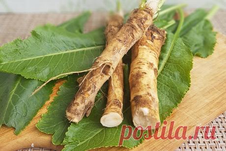 Лучшие натуральные антибиотики