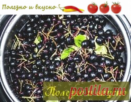 Заготовка сока из черноплодной рябины | Полезно и вкусно