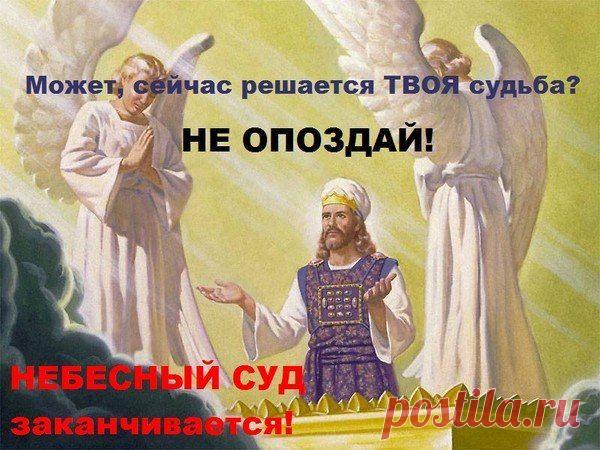 Фото пользователя Владимир, Санкт-Петербург, 51 год