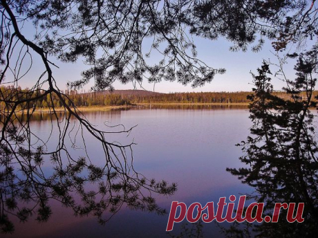 Одноклассники