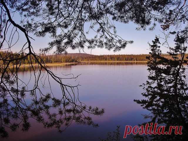 Одноклассники