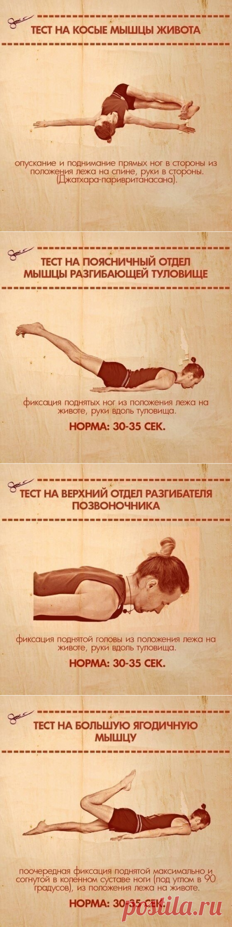 Тесты на функциональную слабость мышц