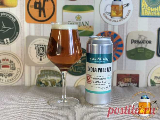 Пробую 3 новых пива Saku из алкомаркета Красное&Белое | С Миру по Пиву! | Яндекс Дзен