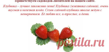 Персональный сайт Анны Кадочниковой