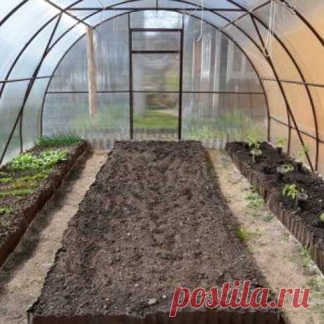 Как правильно ухаживать за теплицей из поликарбоната?