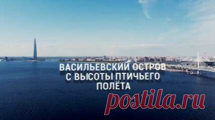 Васильевский остров с высоты птичьего полёта