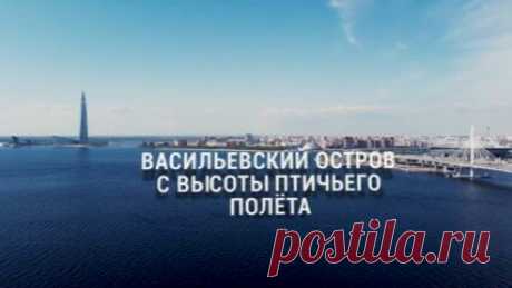 Васильевский остров с высоты птичьего полёта