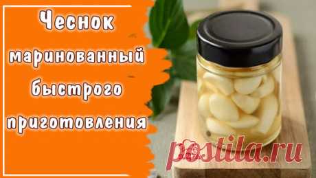 Вкуснее чем на рынке. Маринованный чеснок без уксуса со свеклой на зиму(делюсь заготовкой) - поиск Яндекса по видео
