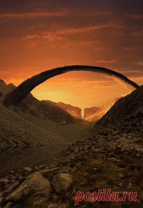 tumblr_oj46754qJl1szm930o2_r1_500.jpg (500×725)