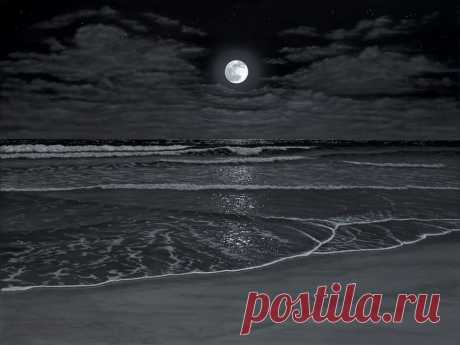 The_Art_of_Phillip_Anthony