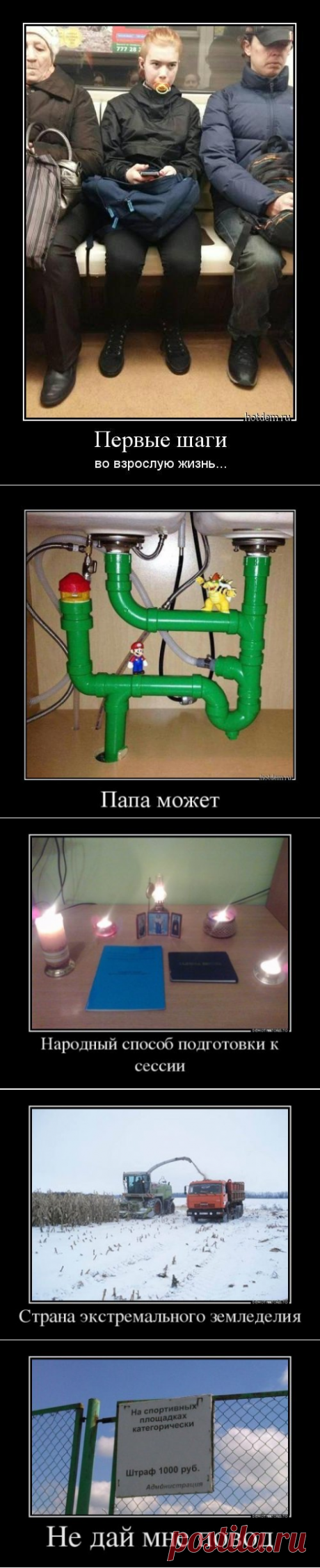 Новые демотиваторы для всех (13 шт)