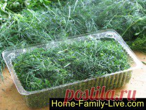 Как заготовить укроп на зиму - пошаговый фоторецепт - заготовки на зиму