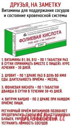 СОСУДЫ КРОВЕНОСНОЙ СИСТЕМЫ