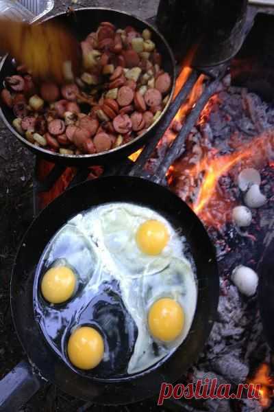 Вместо тысячи ресторанов! / Богатая добыча