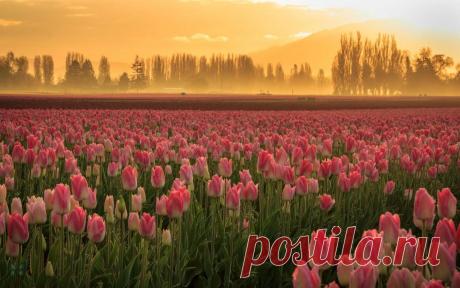 h-15.jpg (1280×800)