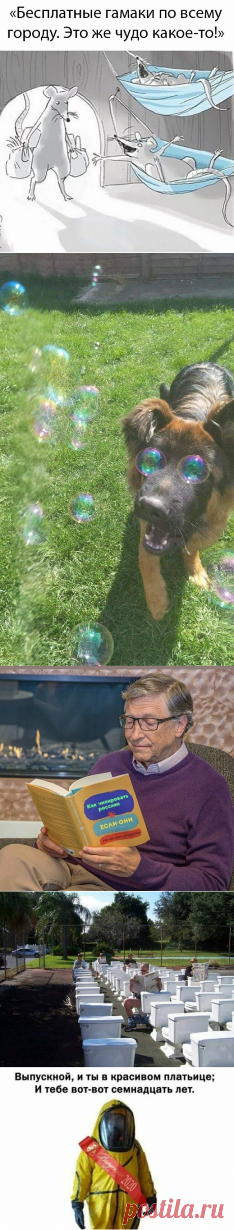 Подборка прикольных картинок и фотографий-252 | glebas@tut.by | Яндекс Дзен