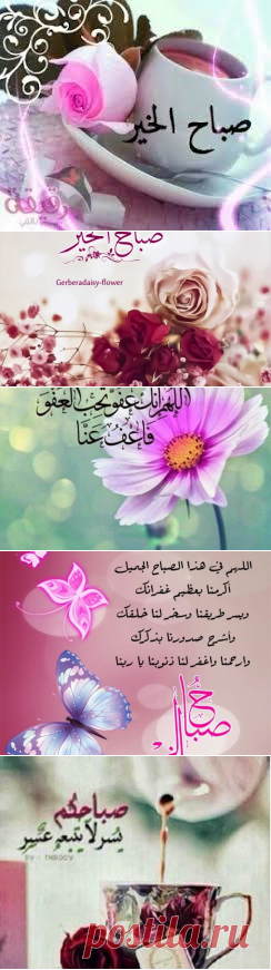 احلي بطاقات وصور صباح الخير للفيس وتويتر - سيدات مصر