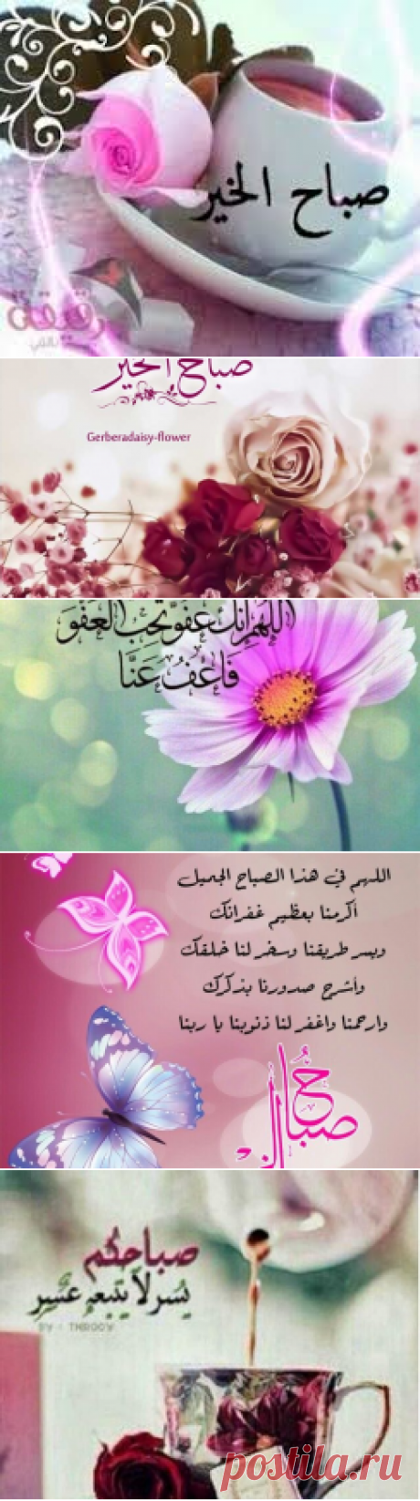 احلي بطاقات وصور صباح الخير للفيس وتويتر - سيدات مصر