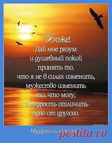 Живи в гармонии..