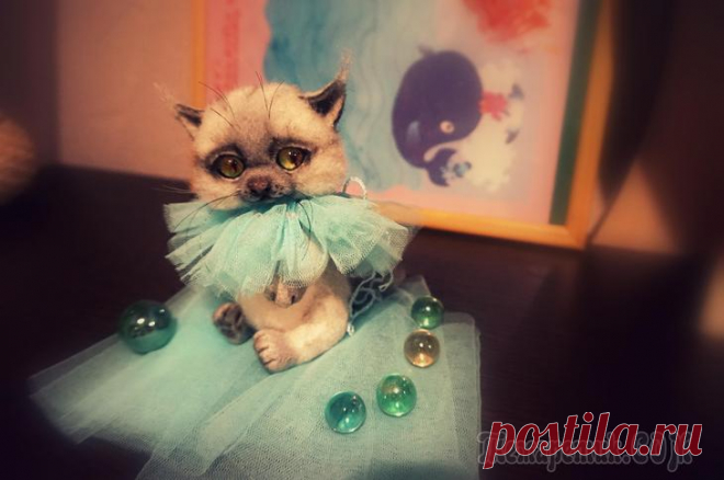 Редкий кот.