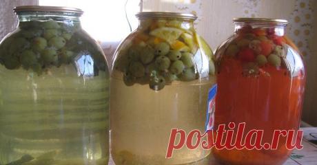 Компот из крыжовника «Мохито»: вари, закатывай, наслаждайся
Лето — пора, когда необходимо получить максимальную пользу от ягод и витаминов в них. Клубника, малина, черешня — вкусно, но их всегда мало, зато крыжовника хоть пруд пруди? Щедрый ягодный урожай все…