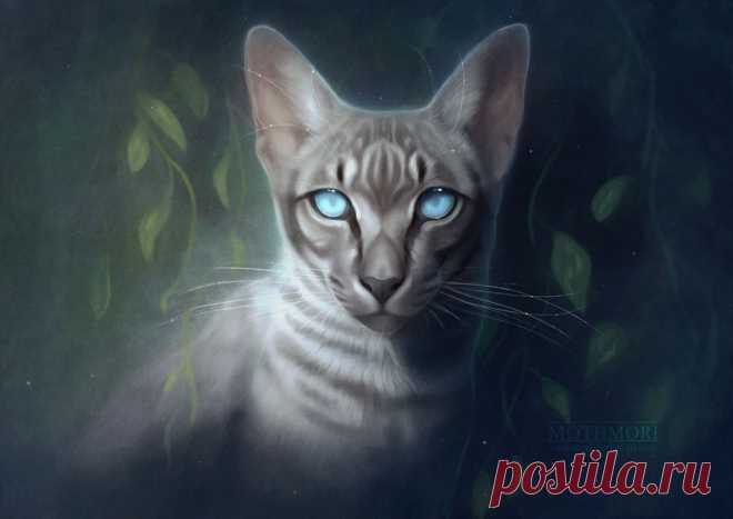 Whisperfoot (Com) by mothmori on DeviantArt