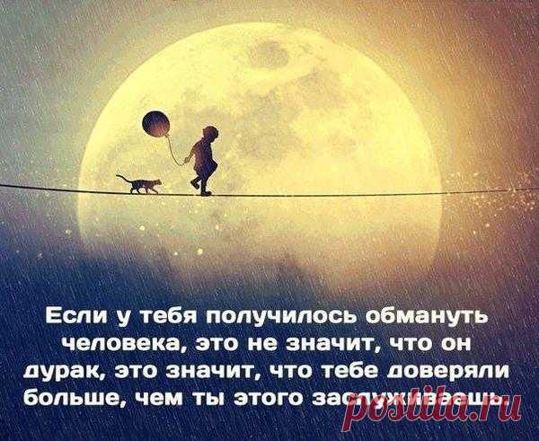 Цитаты и пословицы с картинками ▷ Socratify.net