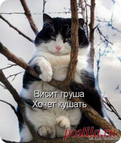 ♥ Открытки - Масленица