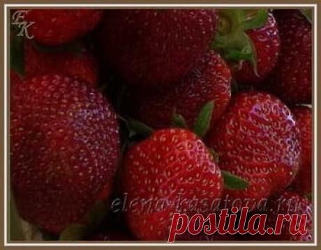 Клубника. Полезные и лечебные свойства
