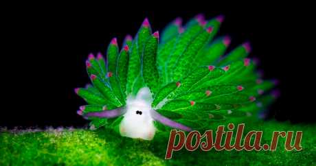 (20+) Facebook
