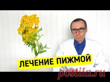 ПИЖМА: полезные свойства и правильное лечение пижмой