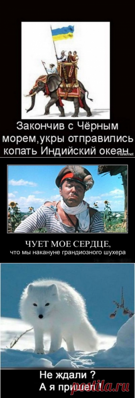 Причину строительства американской военной базы в Очакове объяснили в Верховной Раде