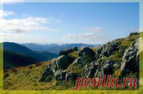 Суровая красота