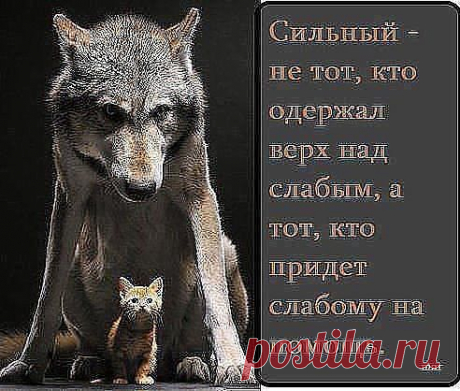 &quot;Лучшие поздравления и пожелания&quot;
oksana khylevych