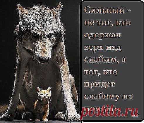 "Лучшие поздравления и пожелания"
oksana khylevych