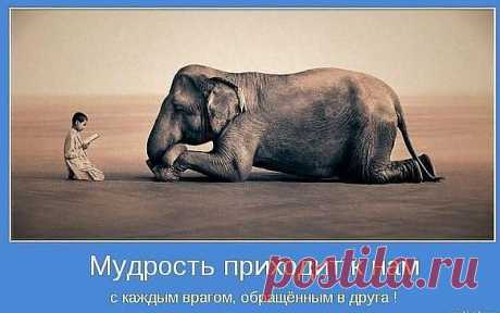 (+1) тема - Сложно но возможно! Как управлять гневом? | ВСЕГДА В ФОРМЕ!