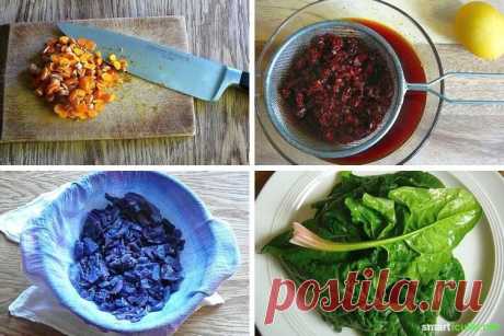Color Easter eggs naturally - the best colors with natural materials