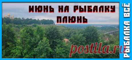 Июнь на рыбалку плюнь | Рыбалка Всё | Дзен