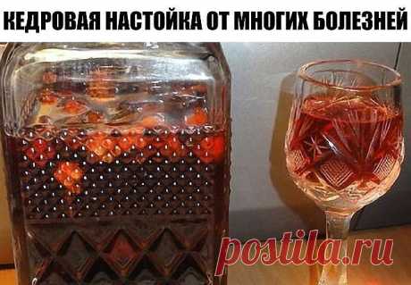 (86) Одноклассники