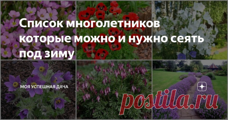 Список многолетников которые можно и нужно сеять под зиму Для дизайна дачных участков и приусадебных территорий отлично подходят многолетние декоративные культуры. Потому, что они не нуждаются в ежегодном посеве и радуют хозяев долгие годы.
Многие многолетние культуры, можно сажать под зиму. Самое главное - подобрать растения исходя из учета индивидуальных предпочтений и климатической зоны. Выросшие из семян цветы со временем разрастутся, вы сможете их д