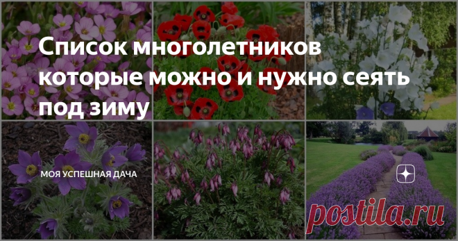 Список многолетников которые можно и нужно сеять под зиму Для дизайна дачных участков и приусадебных территорий отлично подходят многолетние декоративные культуры. Потому, что они не нуждаются в ежегодном посеве и радуют хозяев долгие годы.
Многие многолетние культуры, можно сажать под зиму. Самое главное - подобрать растения исходя из учета индивидуальных предпочтений и климатической зоны. Выросшие из семян цветы со временем разрастутся, вы сможете их д