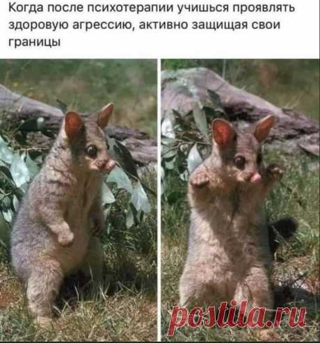 ,