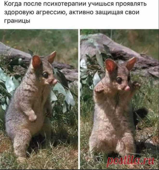 ,