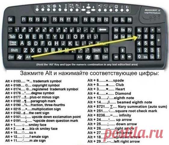 Как печатать разные символы?
Сохрани на стену, чтобы не потерять!