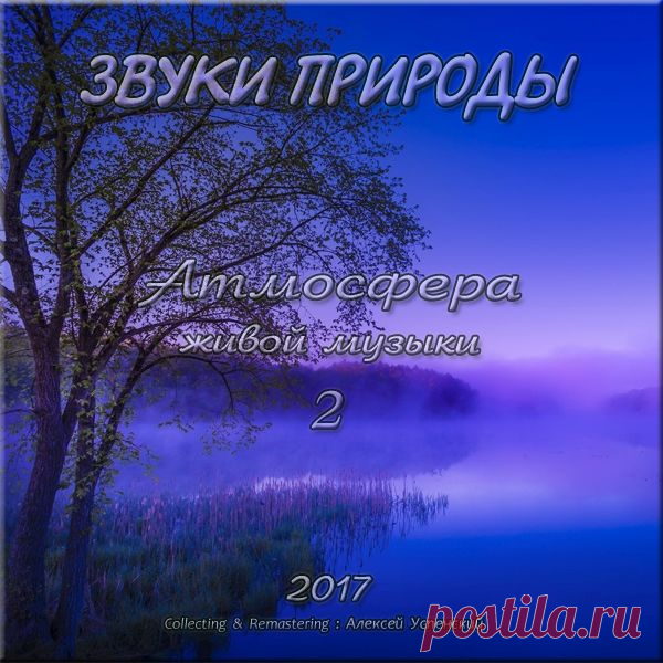 Звуки природы - Атмосфера живой музыки-2 (Mp3) Атмосфера живой музыки - это подборка различных естественных звуков живой и неживой природы.Сборник содержит только естественные звуки природы без посторонней музыки : пение птиц, звуки дождя, леса, реки, ручья, грозы, моря, животных.Название: Звуки природы - Атмосфера живой музыки-2Дата релиза: