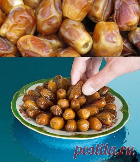 Финики — полезные свойства, польза и вред фиников | Народная медицина