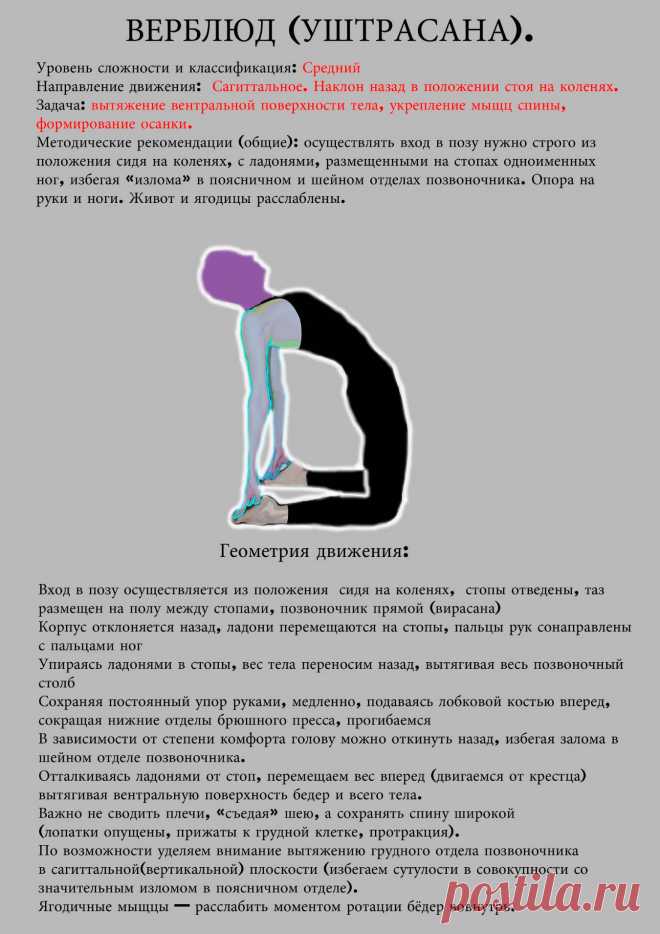 Поза Верблюд (Уштрасана)