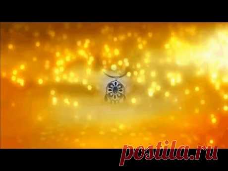Черное и белое