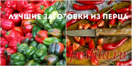 Перец на зиму: лучшие рецепты заготовок на зиму + ВИДЕО